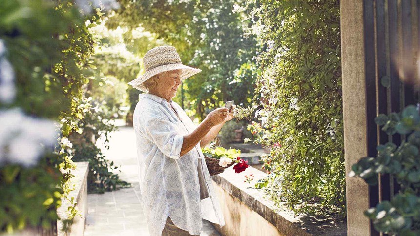 Oudere dame plukt bloemen in de tuin